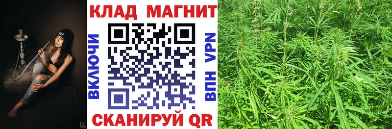 Как найти наркотики Камышин ГАШИШ  Галлюциногенные грибы  БУТИРАТ  ссылка на мегу вход  Каннабис  Альфа ПВП  Меф мяу мяу  Амфетамин 