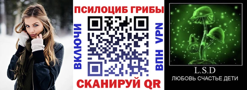Галлюциногенные грибы прущие грибы  продажа наркотиков  Камышин 